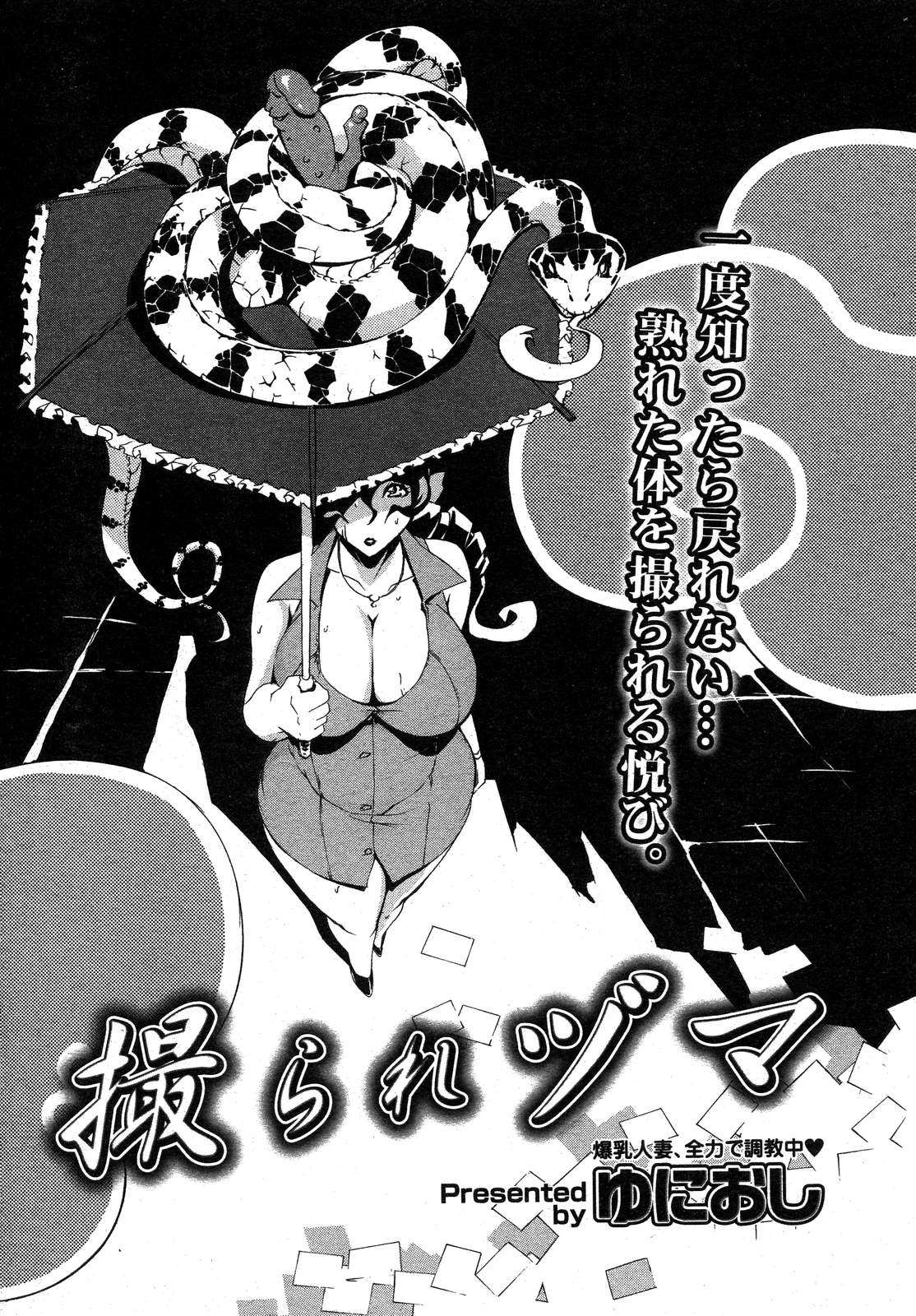 コミックメガストアH 2008年1月号