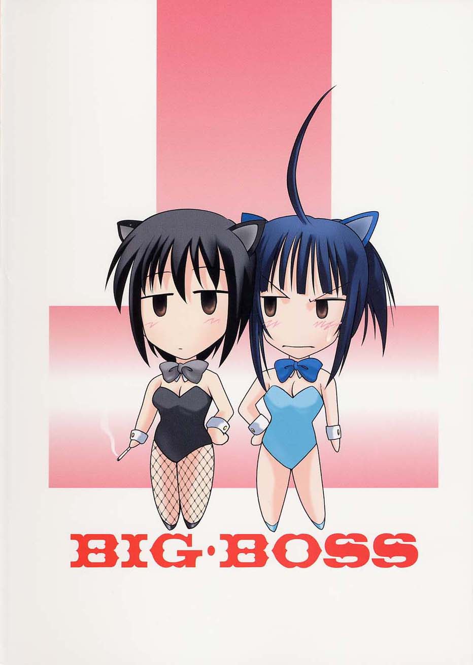 (Cレヴォ30) [BIG・BOSS (本体売)] 浦島EX Excellent (ラブひな)