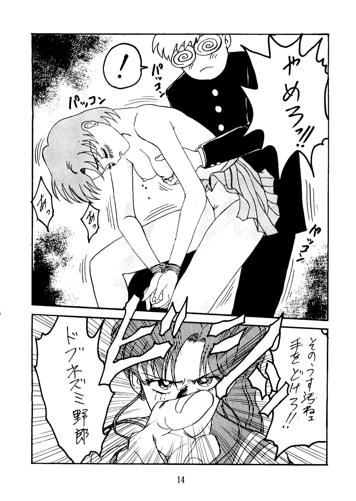 【だぐうひらぬま】C.ムーン（セーラームーン）