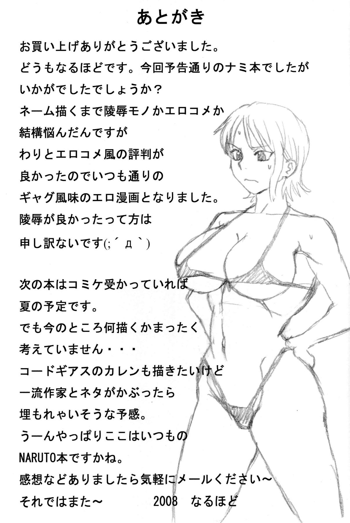 (サンクリ39) [NARUHO堂 (なるほど)] いいナミ・夢気分 (ワンピース) [英訳]