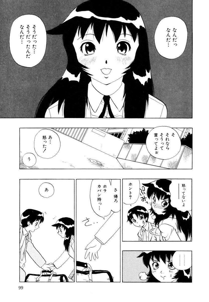 [ペニシリンXI] ひまわりのつぼみ