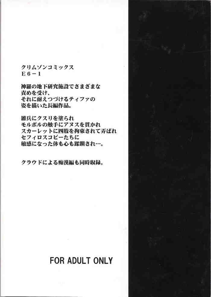 [クリムゾン (カーマイン)] 果実総集編 (ファイナルファンタジーVII)