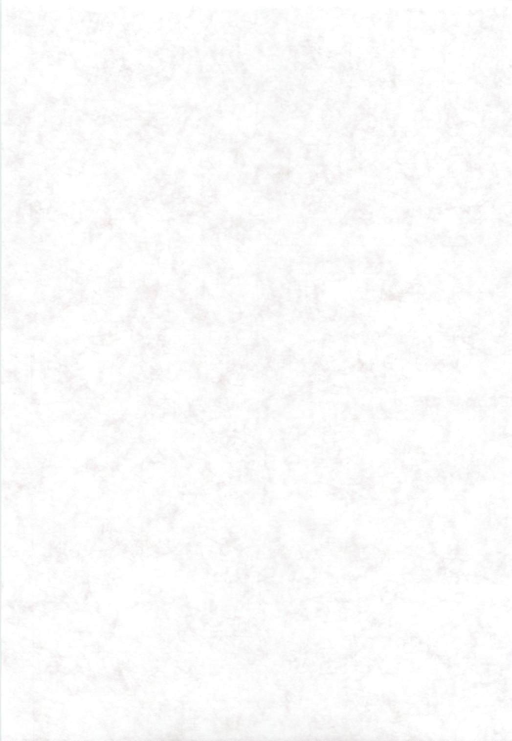 [観月堂]電撃ラグナ（RO）