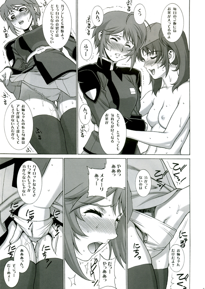 (C68) [もっちー王国 (もっちー)] 月刊ルナマリア (機動戦士ガンダムSEED DESTINY)