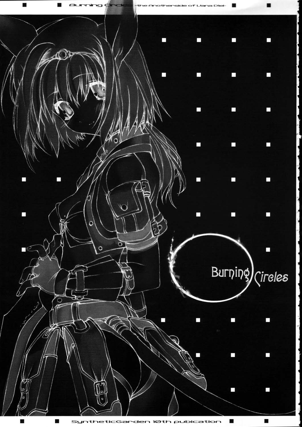 (C65) [Synthetic Garden (よろず)] Burning Circles (ファイナルファンタジー XI)