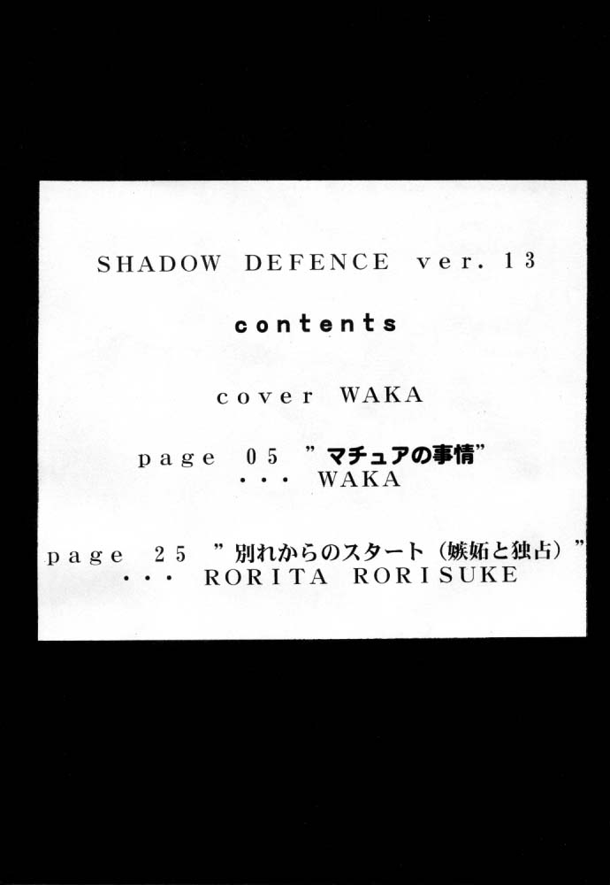 [テールオブニアリー]シャドウディフェンス13（カウボーイビバップ、キングオブファイターズ）