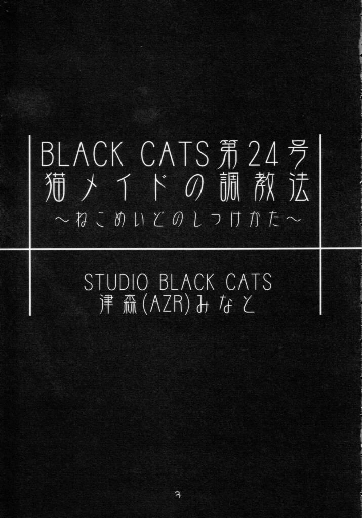 (Cレヴォ31) [STUDIO BLACK CATS (津森(AZR)みなと)] 猫メイドの調教法 (月姫)
