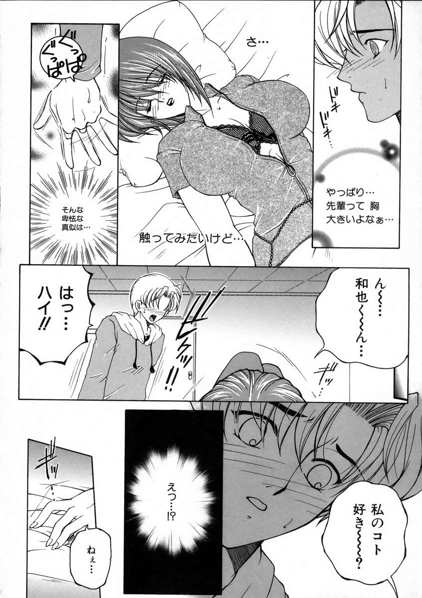 [安原司] 彩色絢美