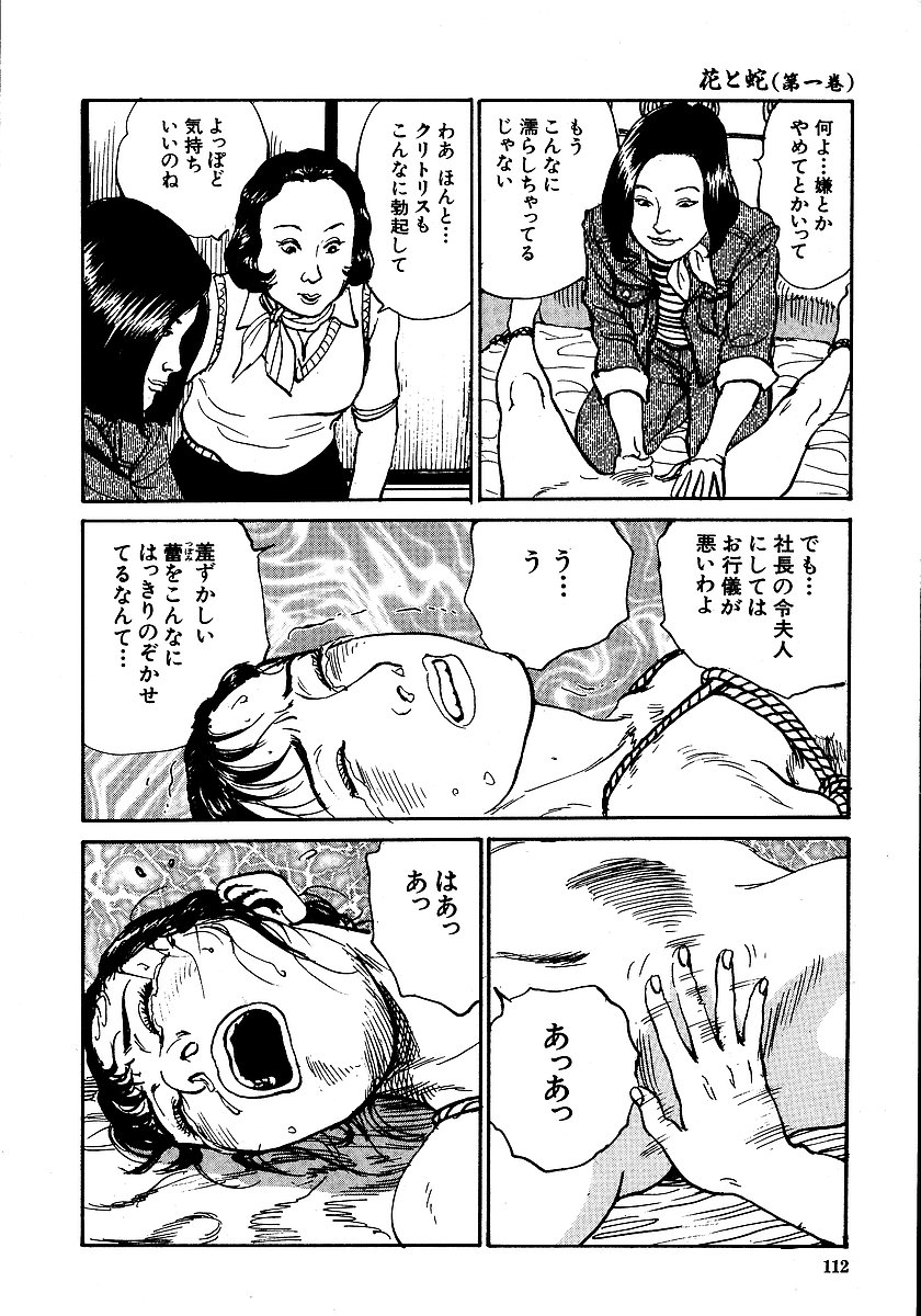 [長田要, 団鬼六] 花と蛇 第一集