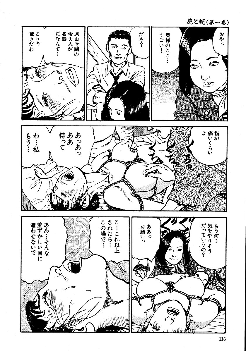 [長田要, 団鬼六] 花と蛇 第一集