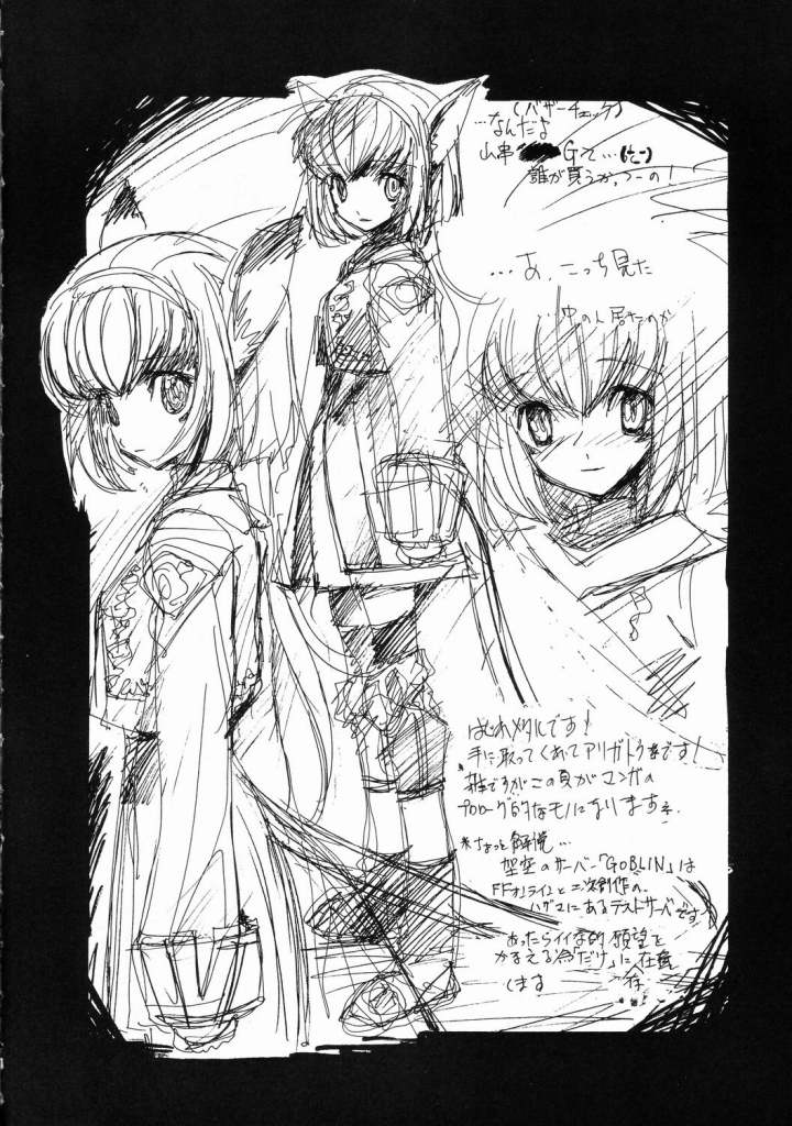 (C69) [ジンジン (はぐれメタル)] At Goblin The Fake Server Vol.2 (ファイナルファンタジー XI)
