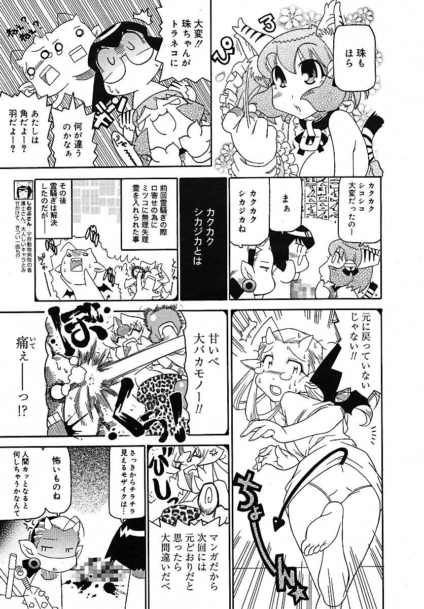 [雑誌] コミックメガプラス 2005年7月号 Vol.21