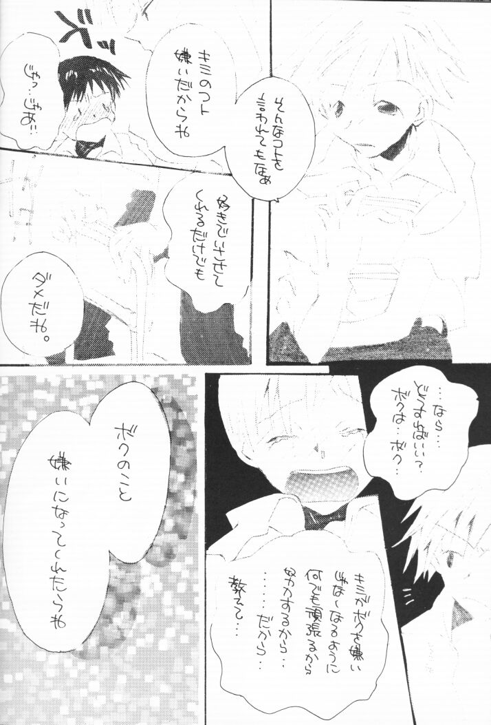 [ぎゃろっぷだいな・LOVERS (明智リクヲ、成田るみ)] 少年虐待論 (新世紀エヴァンゲリオン)