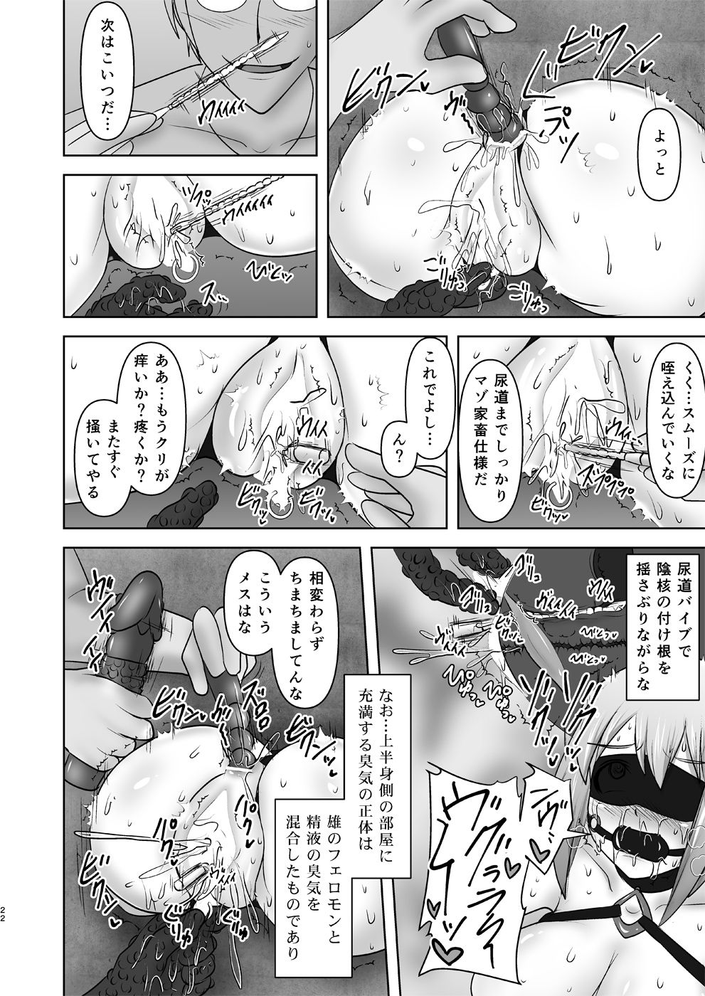 C91新刊 煌盾戦姫エルセイン 恥虐の隷獄島・後編