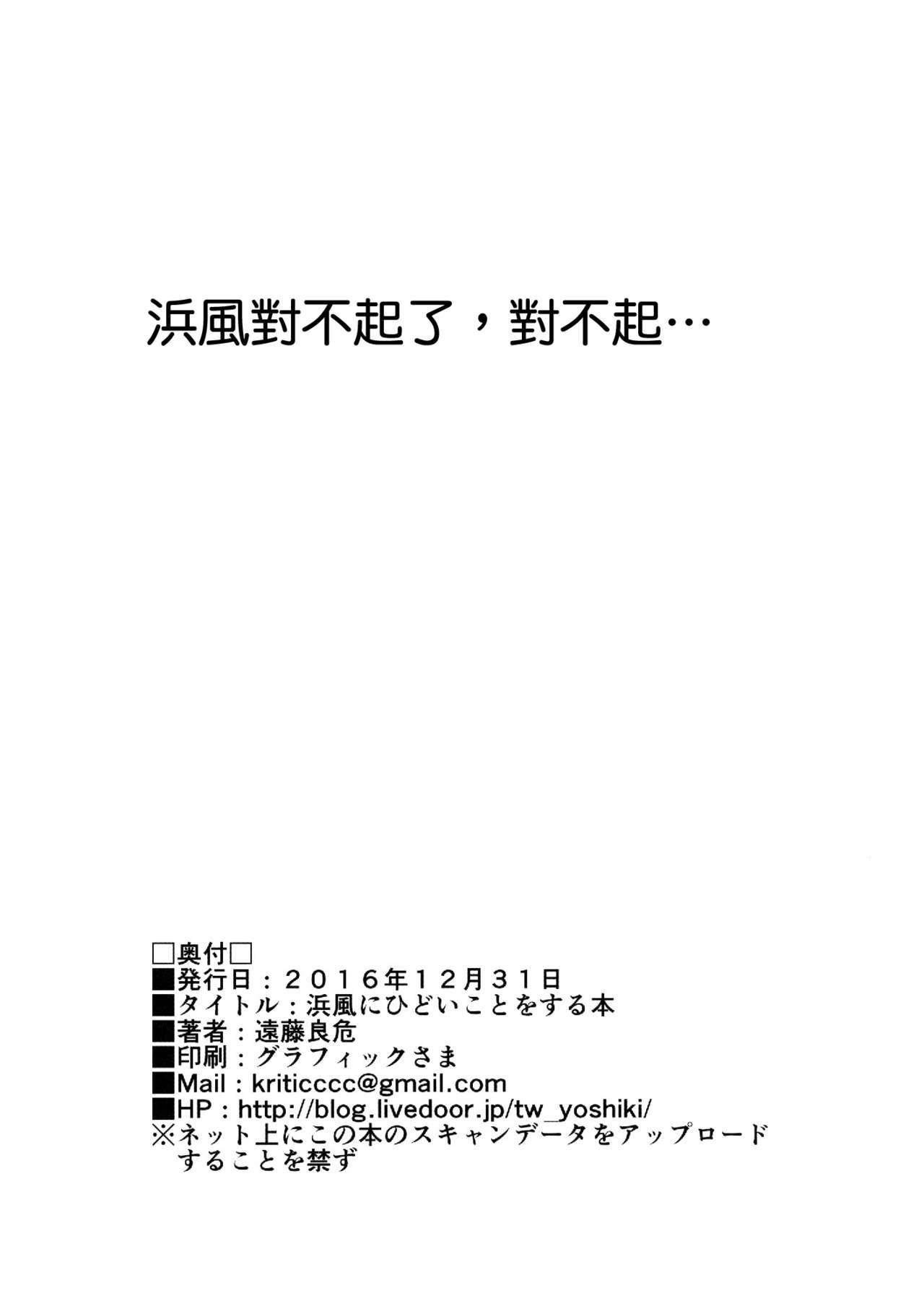 浜風に飛騨箏をする本