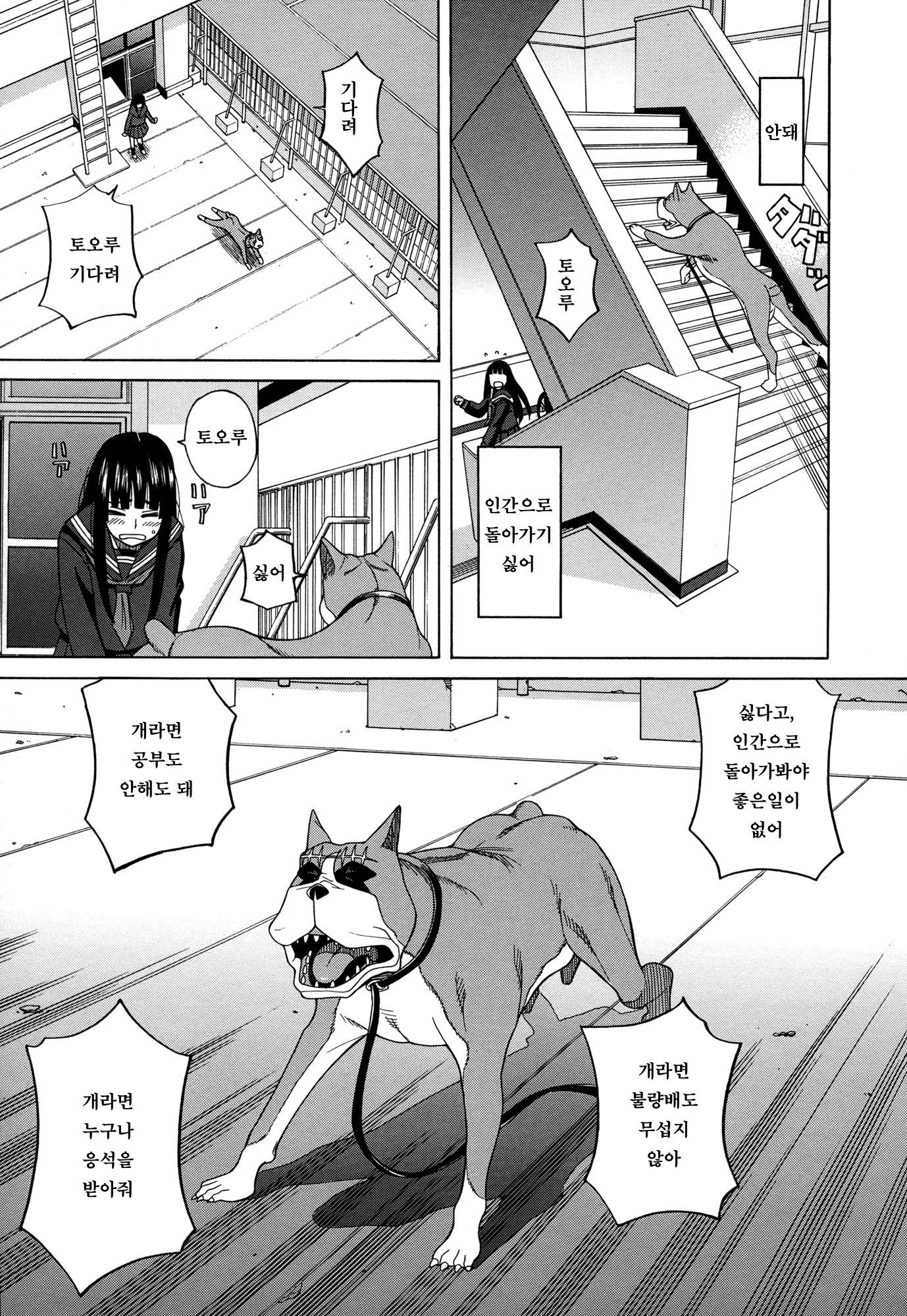 犬のいきざまもてる