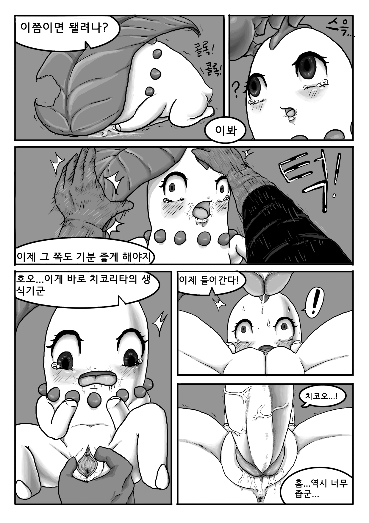 貧しいチコリータ-1-