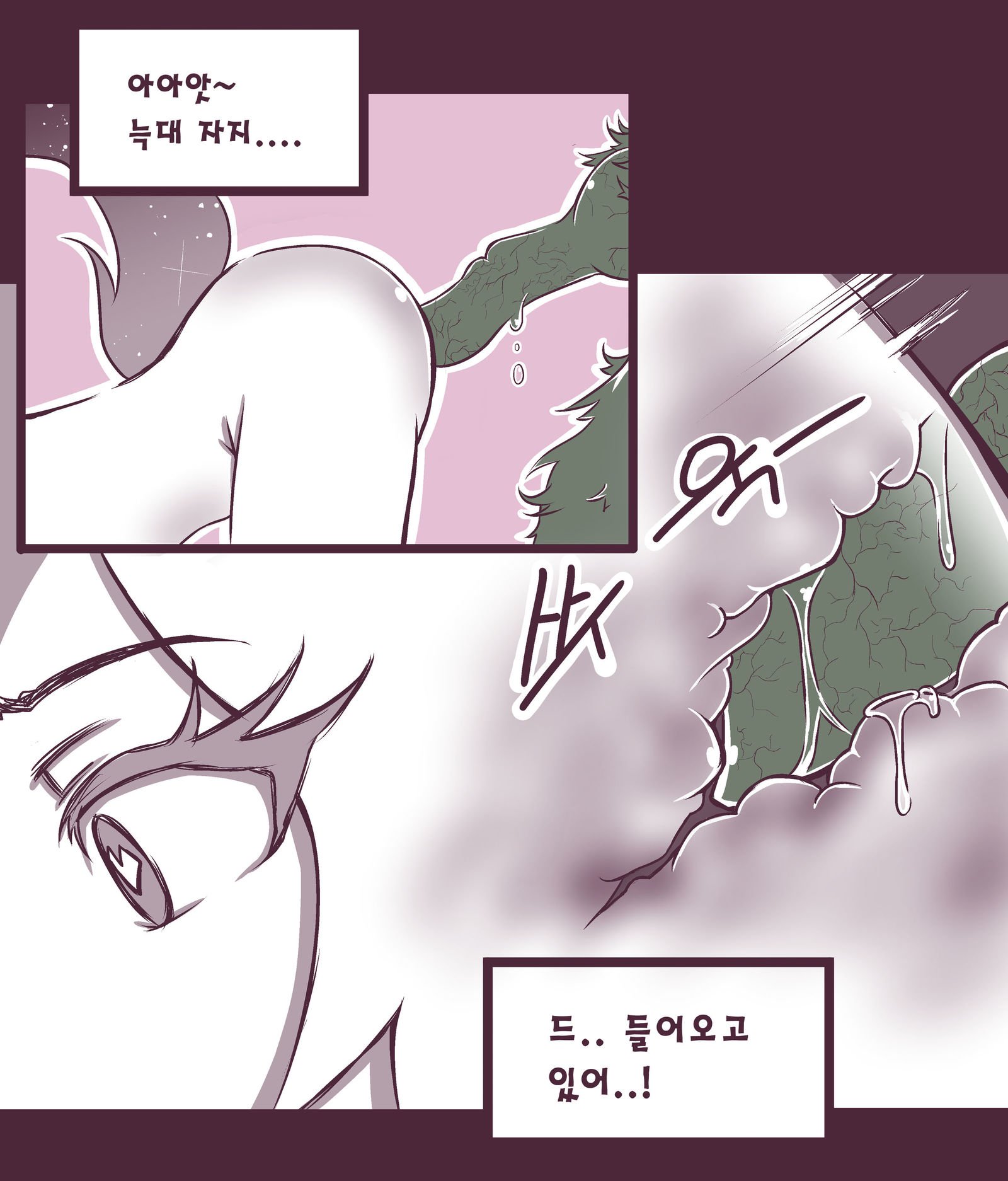 여우는댕댕이과2