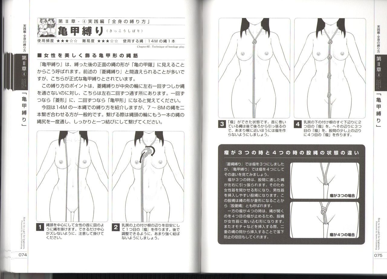 今、あなたはそれを行うことができます！図解タイドハウツーマニュアル