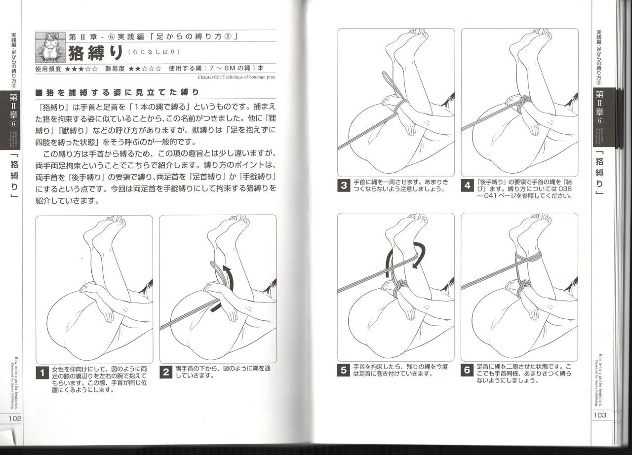 今、あなたはそれを行うことができます！図解タイドハウツーマニュアル