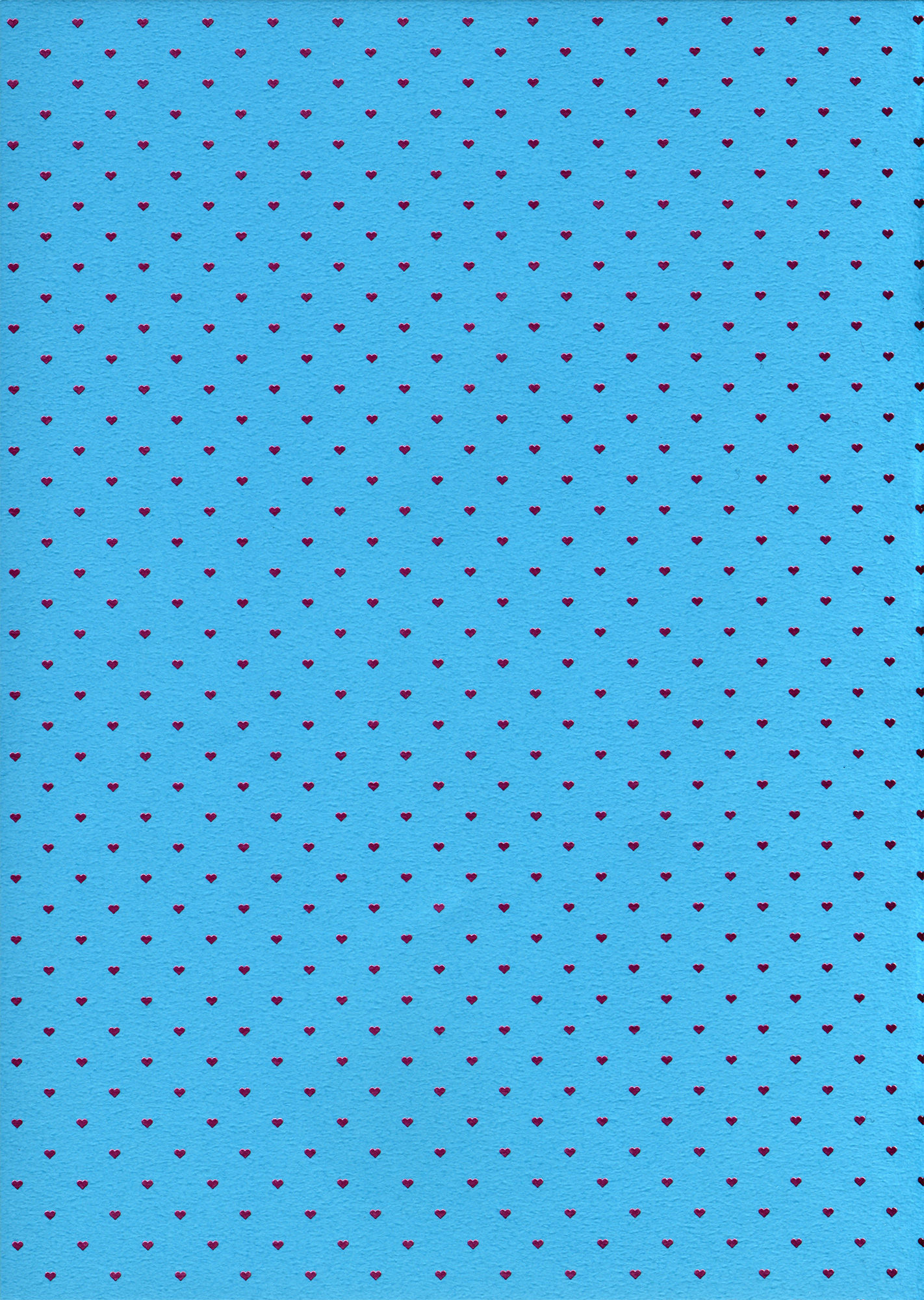 OH！MY！CYAN！