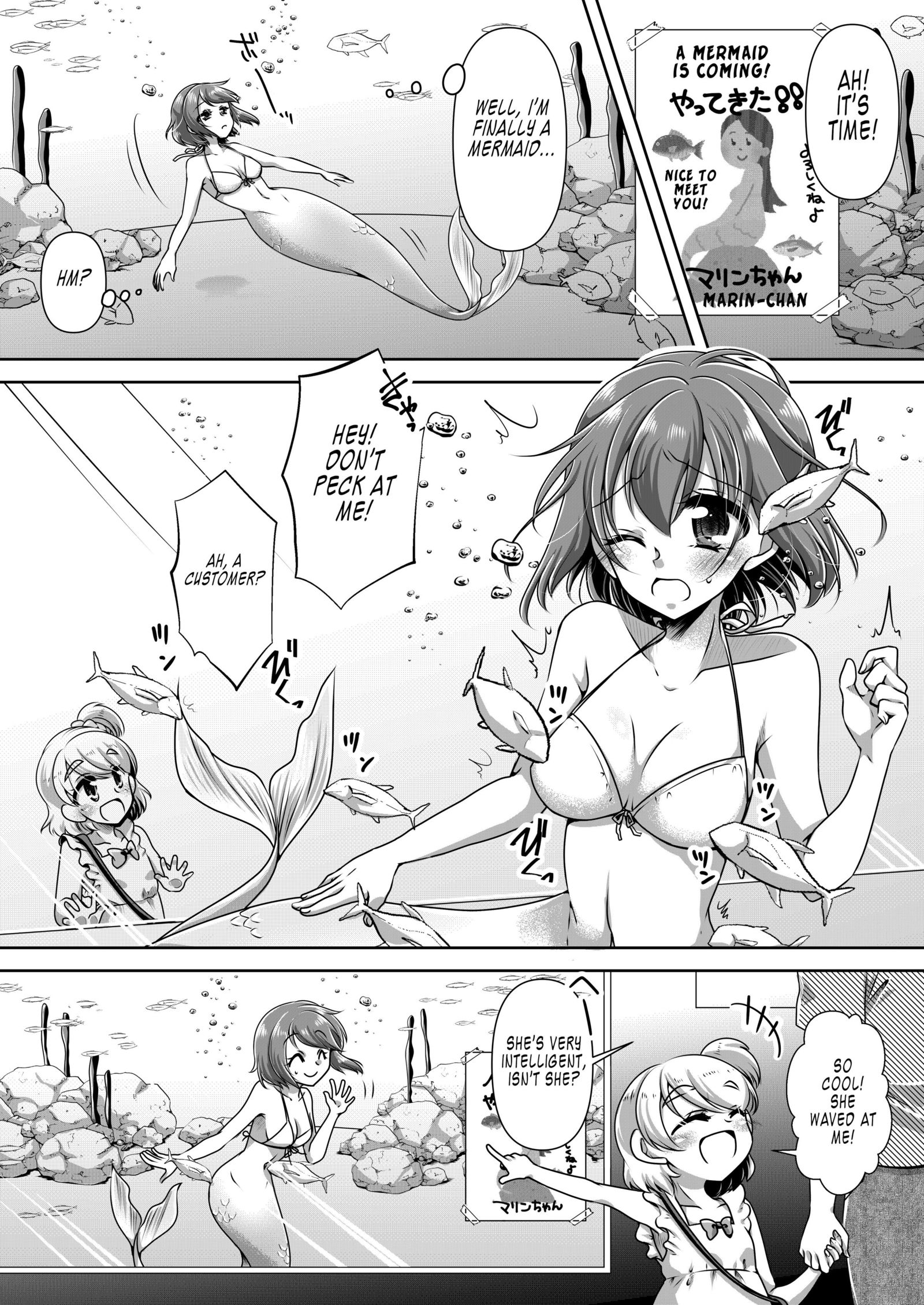 人魚の乙女ある|マーメイドの思い出