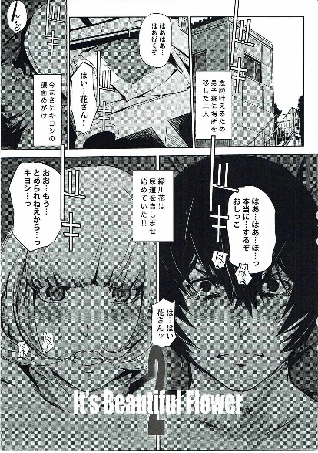 花2綺麗な花です