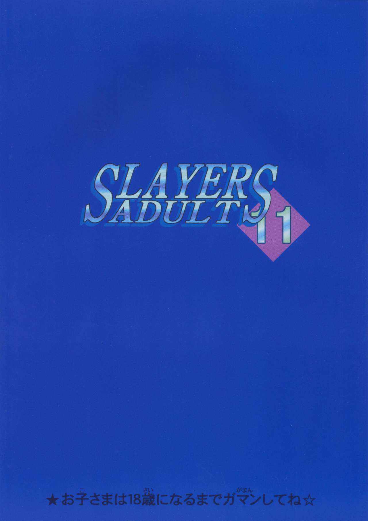 SLAYERS ADULT 11