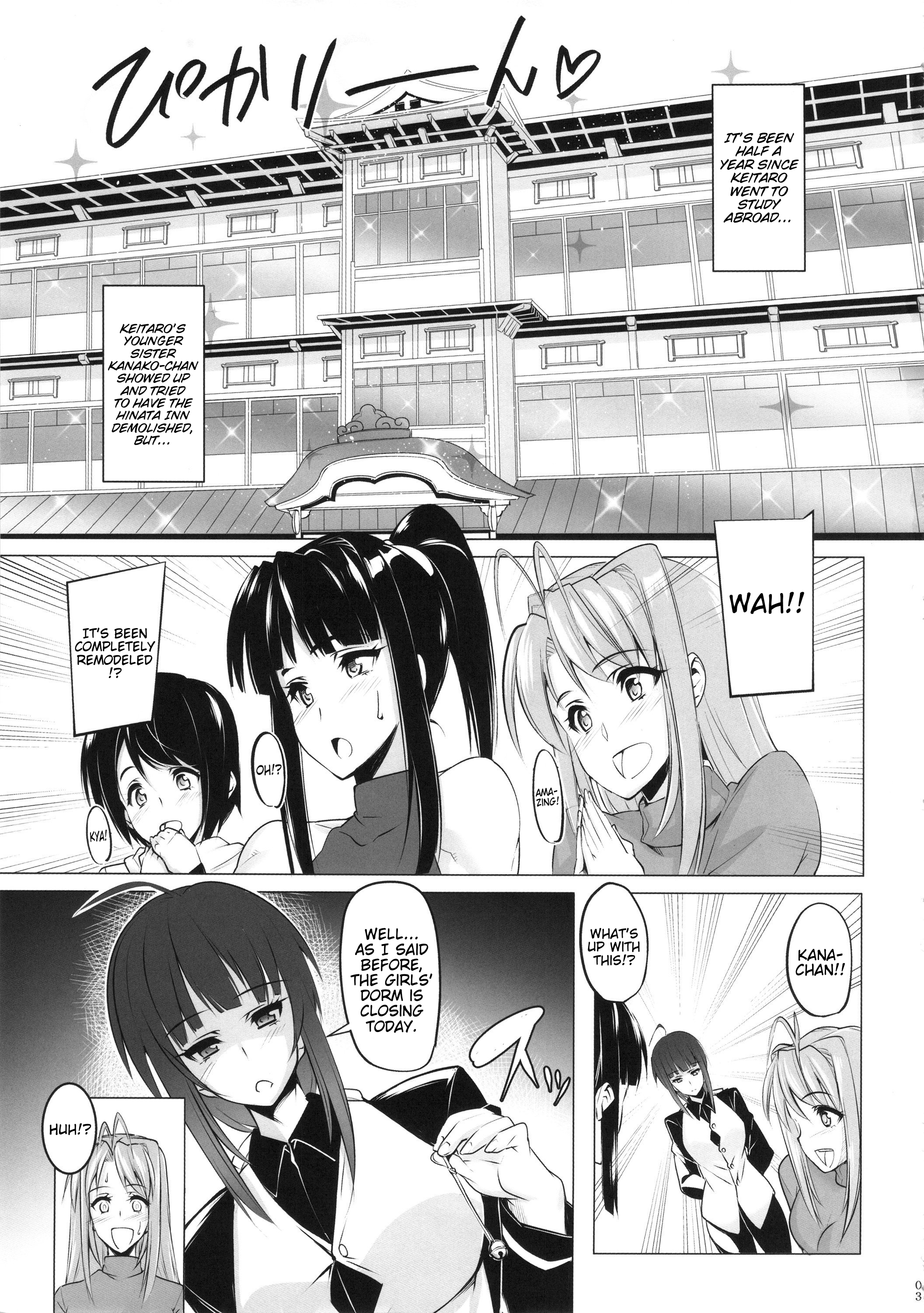 レアヒナ3