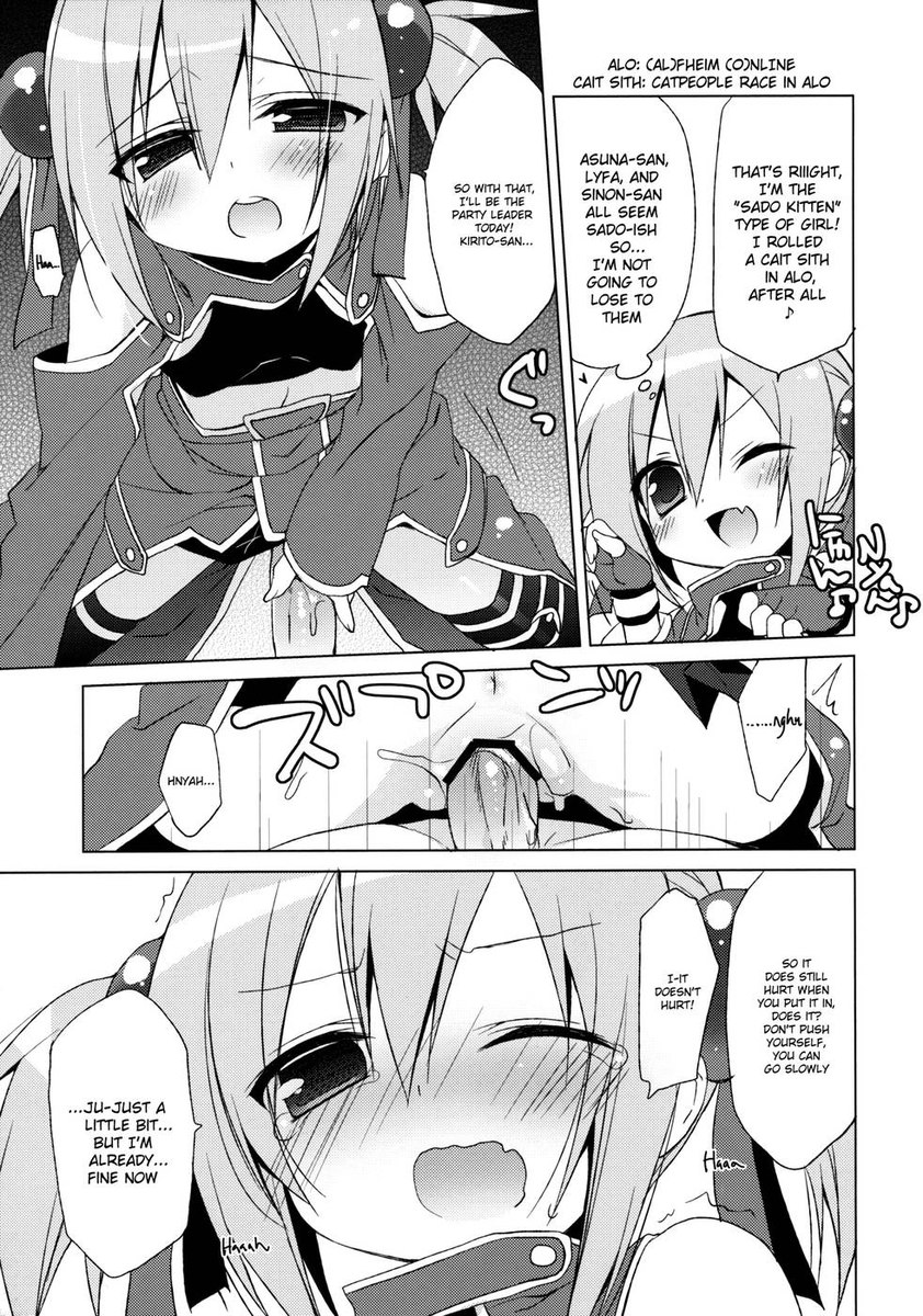ソードアートオフライン-シリカルート