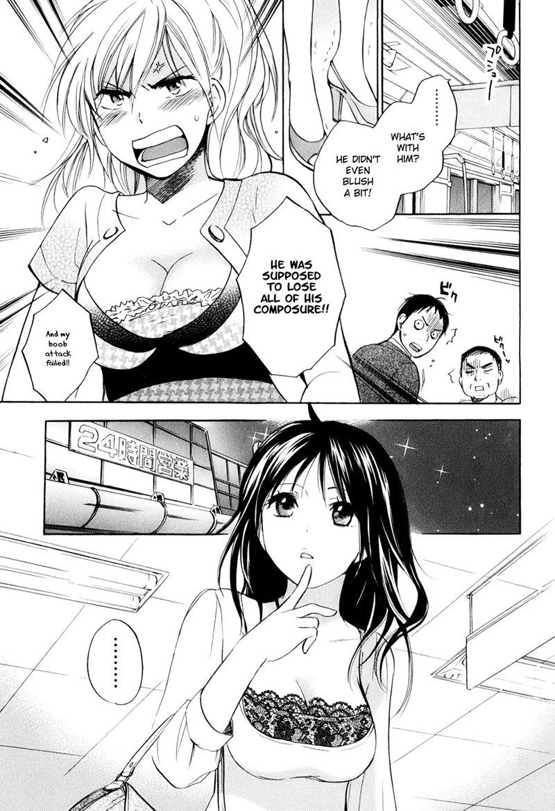 恋に落ちるのは仕事です1-第3の秘密