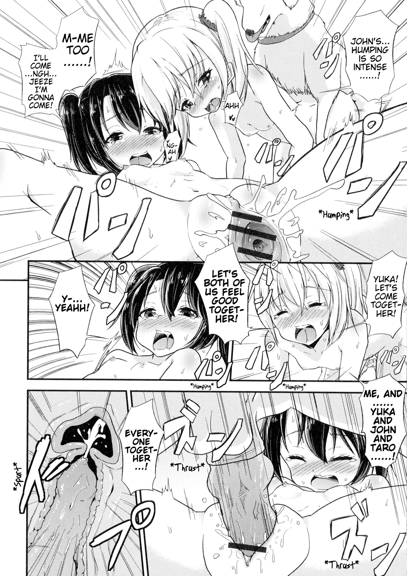 わんこのイルイエ|犬の家