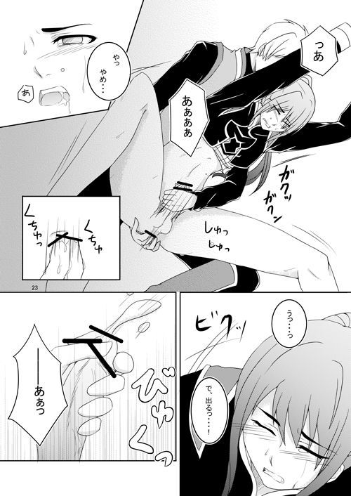 石木の国国