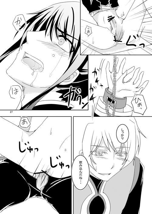 石木の国国