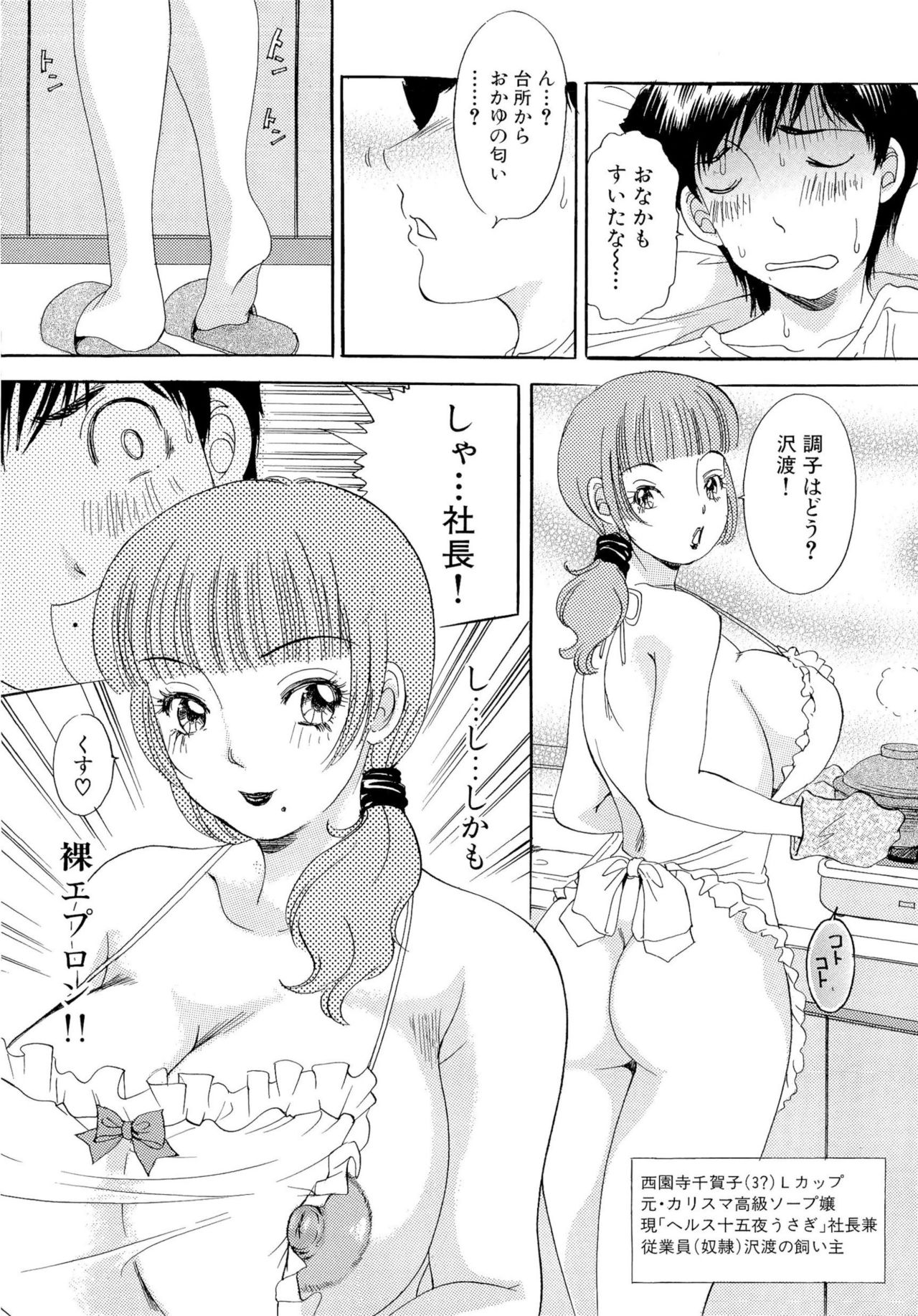 おまかせバニー