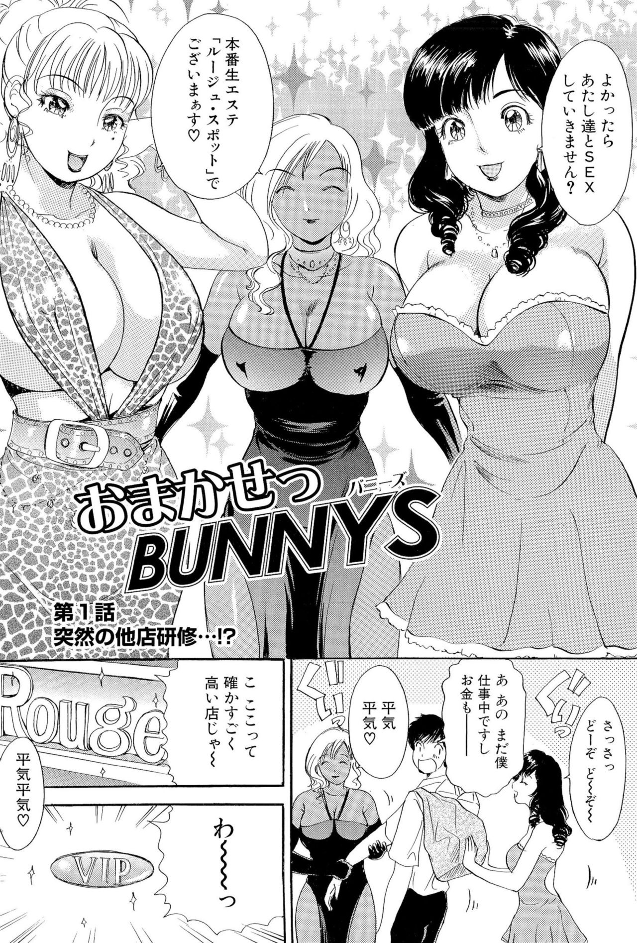 おまかせバニー