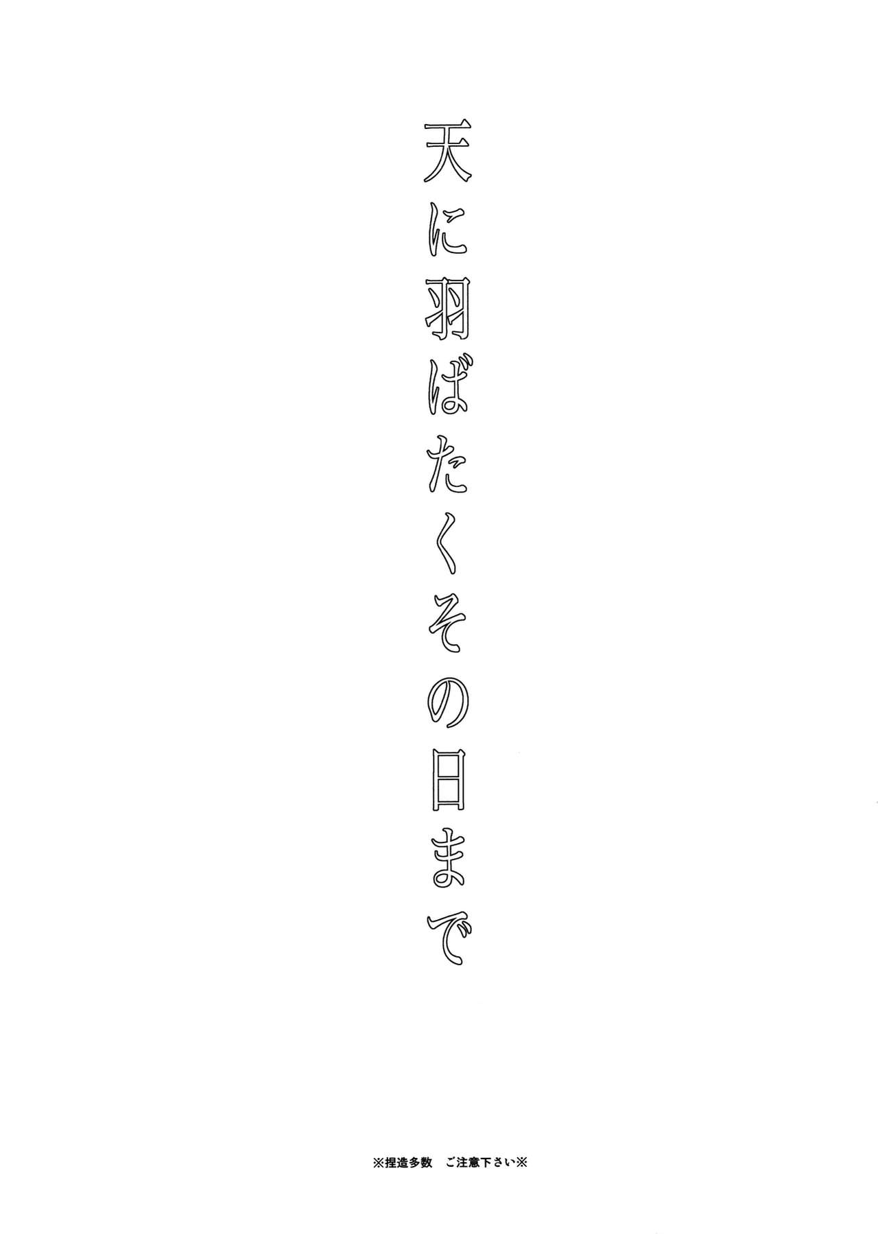 てんはばたくその日まで