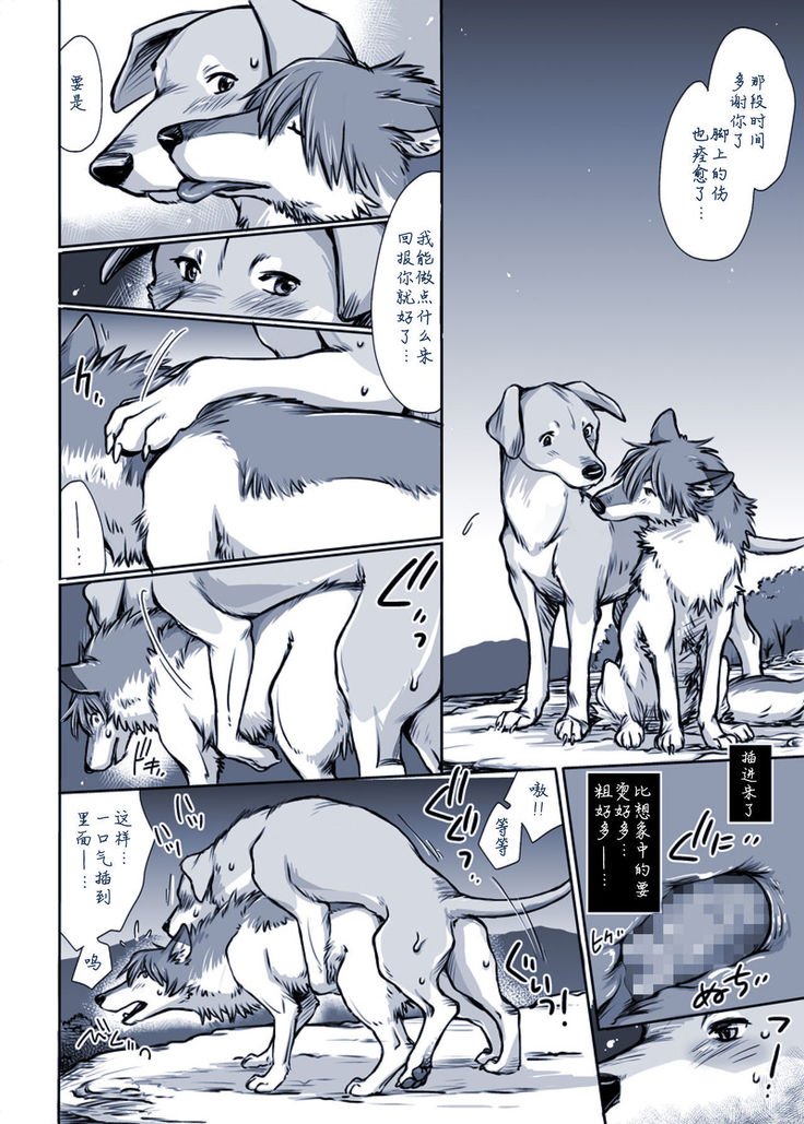 ある犬のばい|某只狗的视角