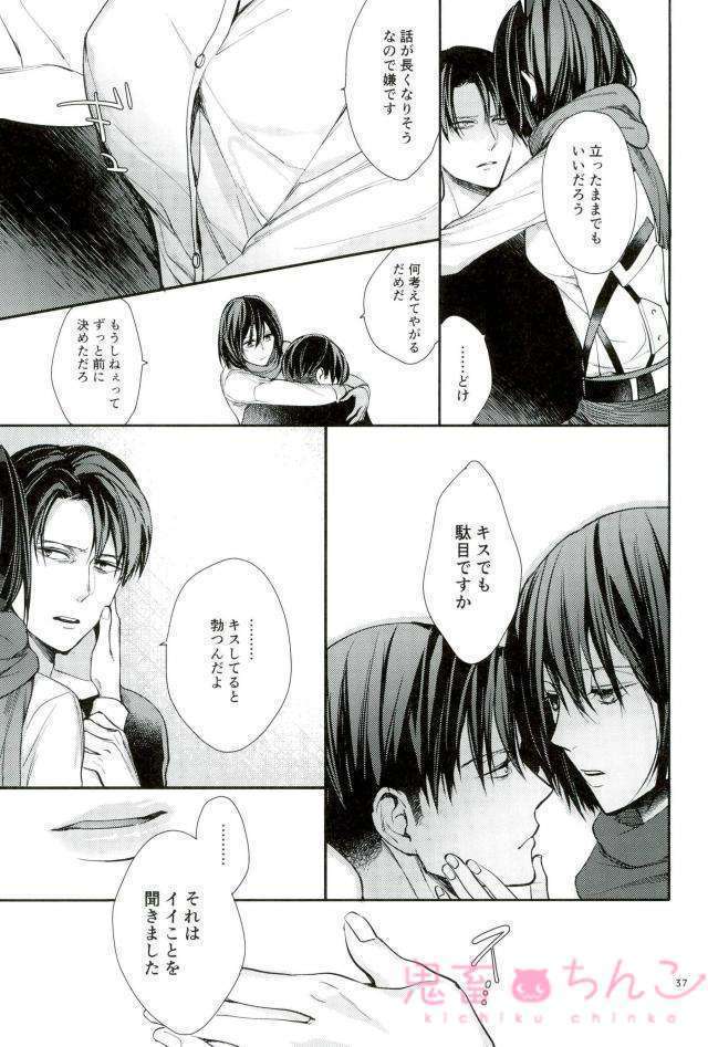 かなたのひかり