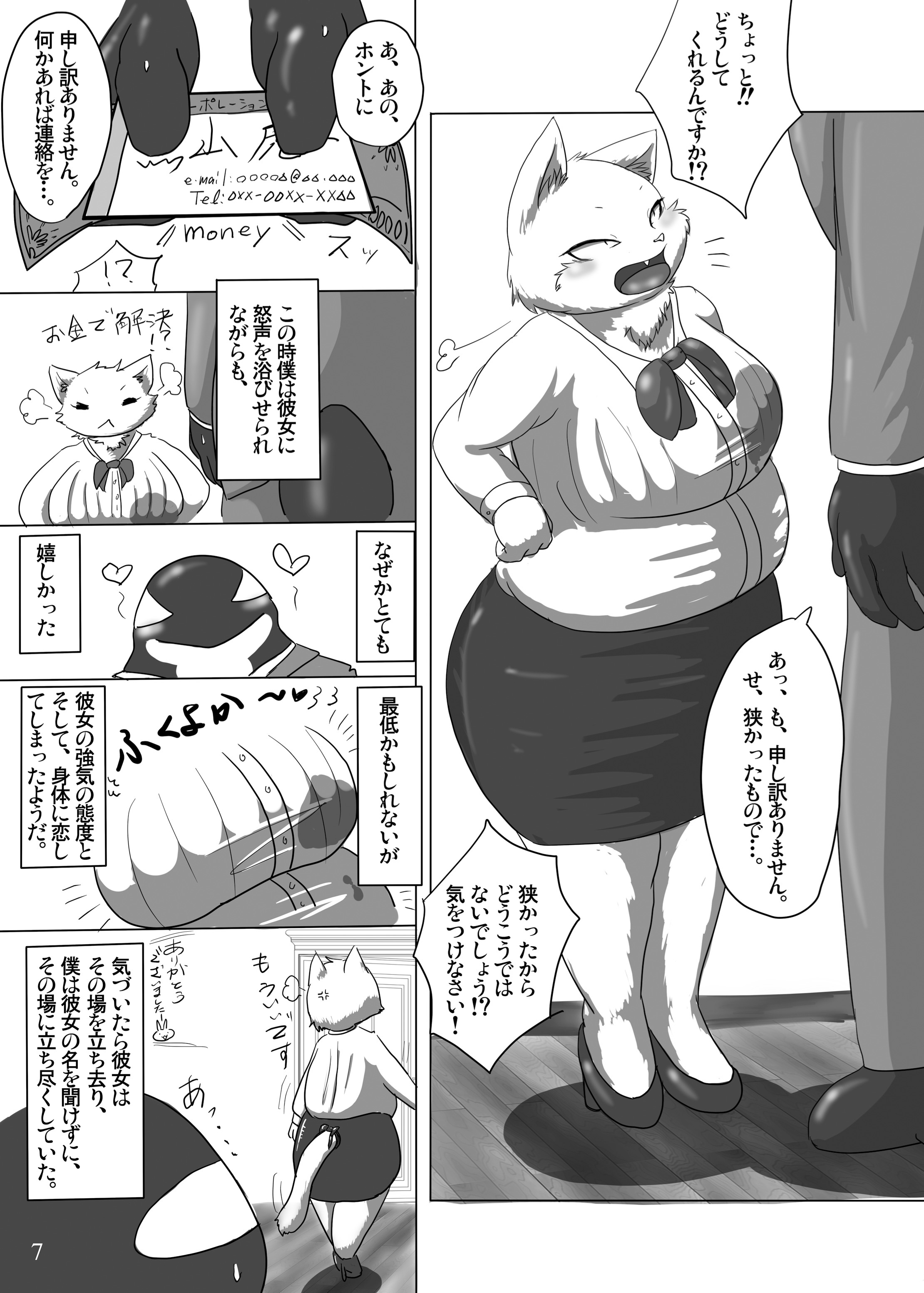 私はぽっちゃり猫が大好きです