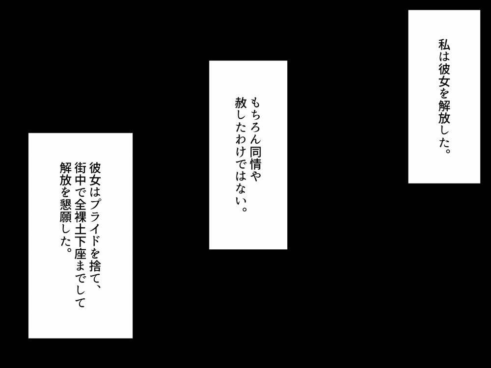 ヒーロー破壊計画〜洗脳バッドエンドNTR版〜