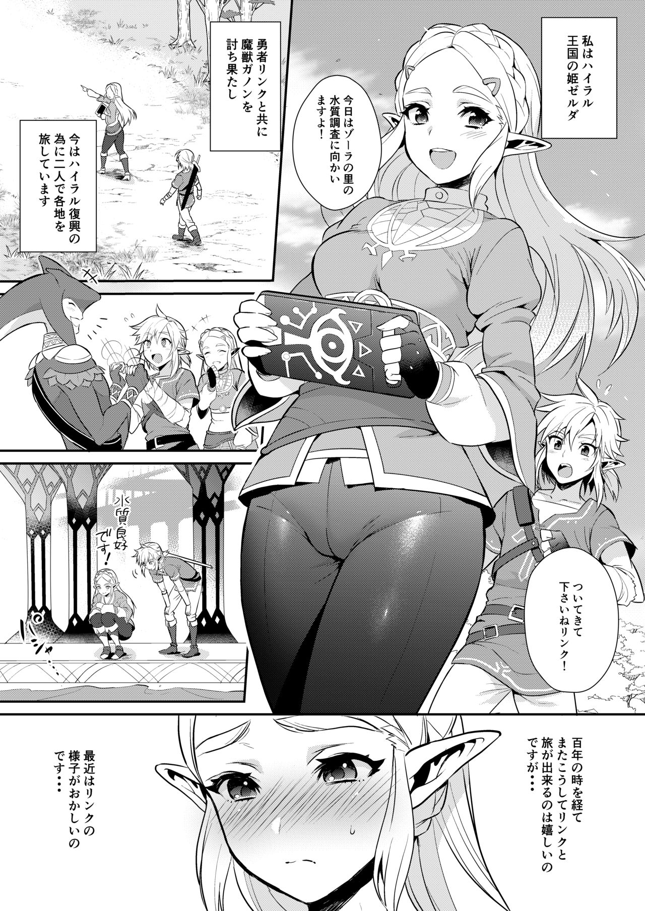 [もりっとこけ (もり苔)] 勇者の再録本チャレンジ (ゼルダの伝説) [DL版]