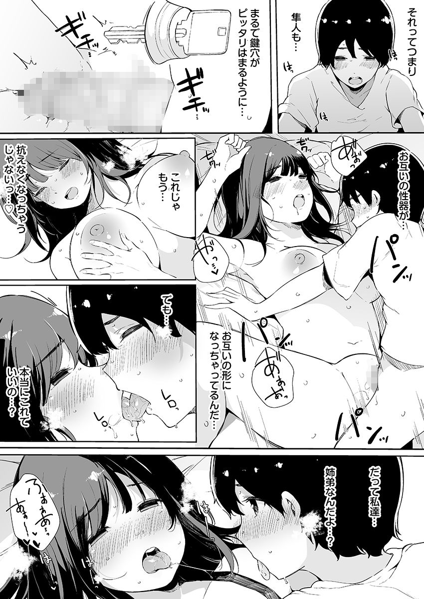 [桜湯ハル] 弟にエロ漫画と同じ事をされちゃうお姉ちゃんの話 3