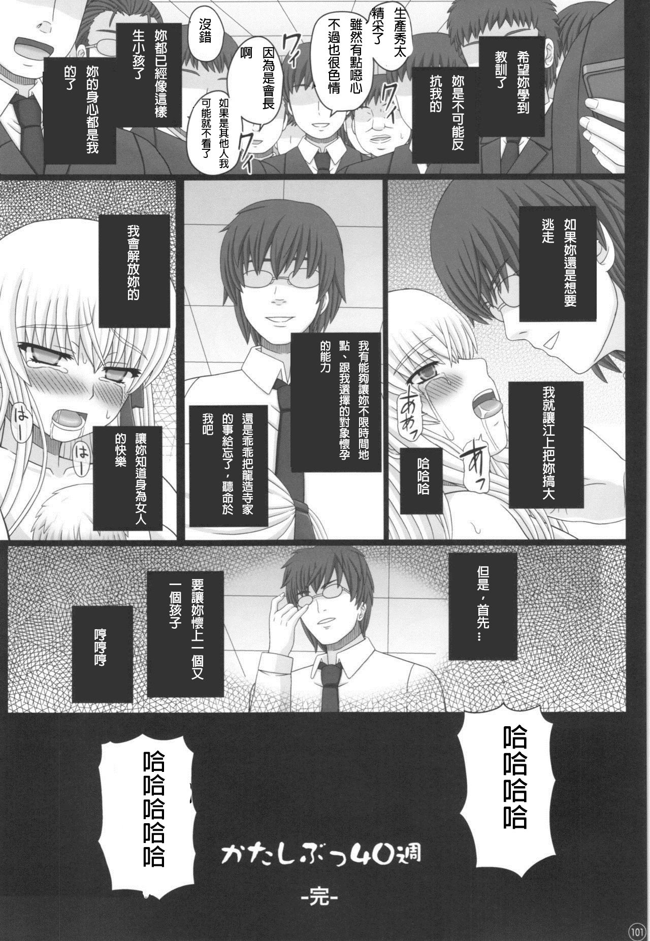 (C88) [幸せ共和国 (幸せのかたち)] かたしぶっ40週＋会場限定本 [中国翻訳]