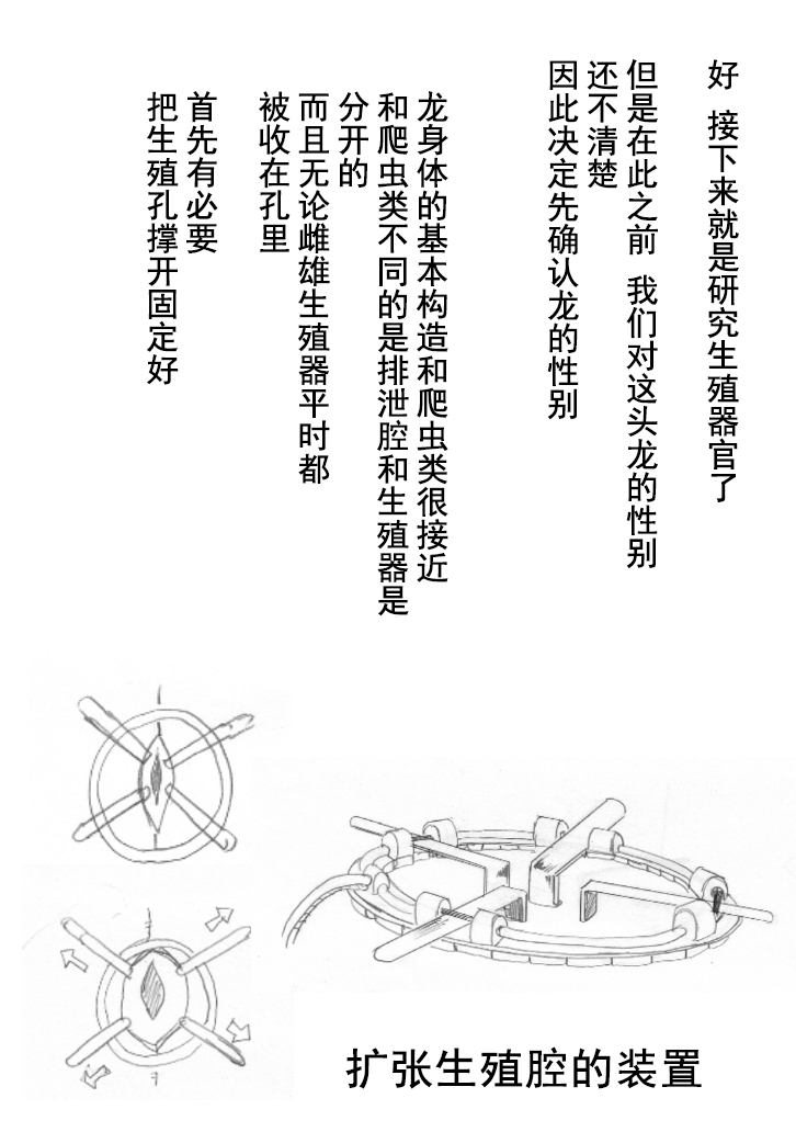 [竜族生態調査班]竜族の捕獲に成功 [中国翻訳]