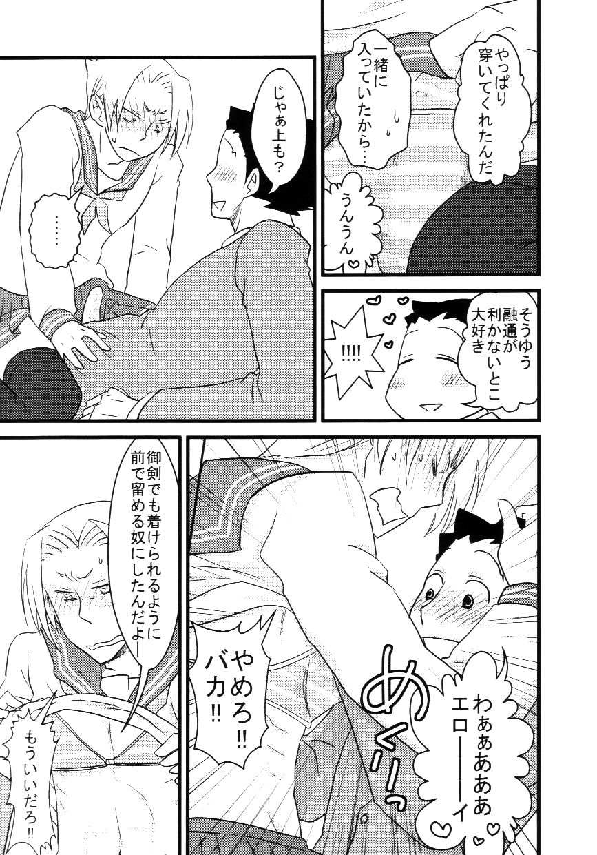 (裁きの庭17) [メテオラ (劉)] M.L検事は彼女なのか? 最終鬼畜弁護士ナルホドー.R (逆転裁判)