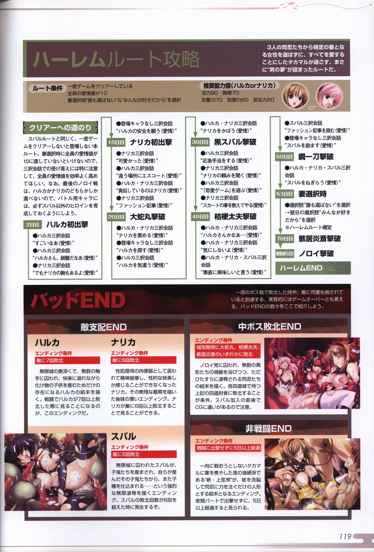 超昂閃忍ハルカ ビジュアルファンブック