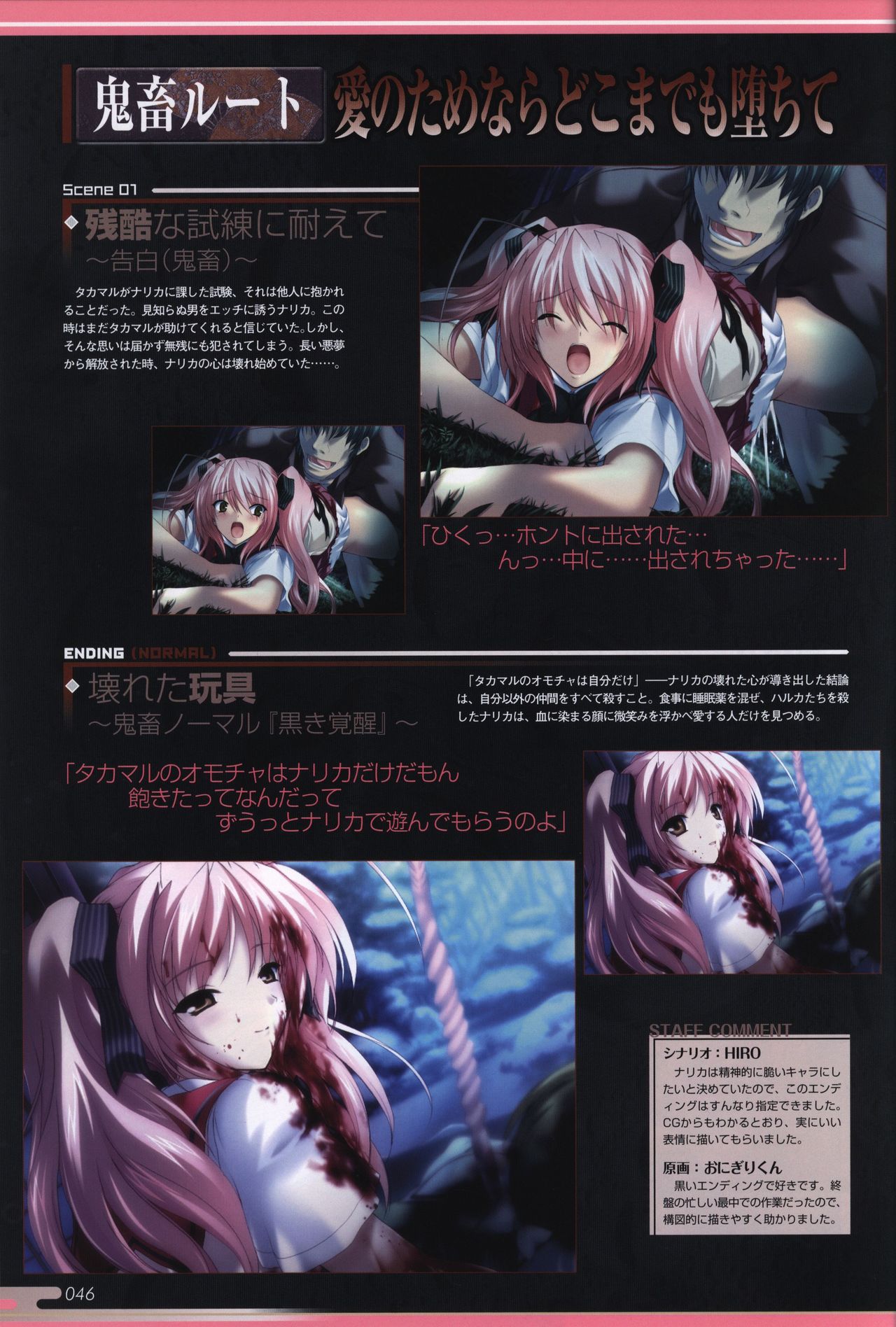 超昂閃忍ハルカ ビジュアルファンブック