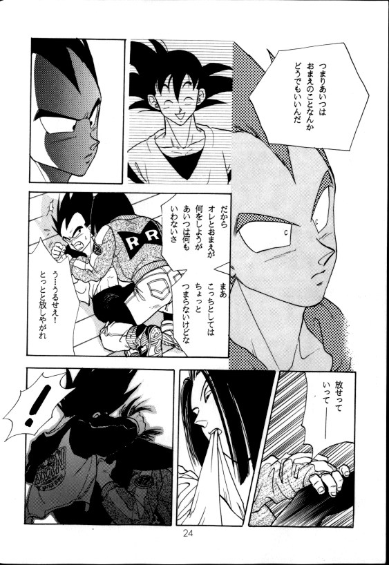 (C42) [PAOZ (炎天下くらら)] 愛さずにいられない (ドラゴンボールZ)