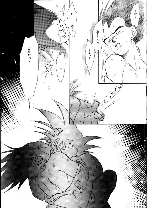 (C42) [PAOZ (炎天下くらら)] 愛さずにいられない (ドラゴンボールZ)